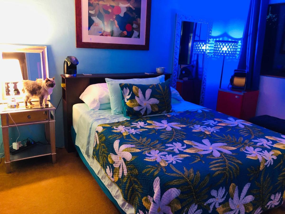 Kona Magic Honu Room Каилуа-Кона Экстерьер фото
